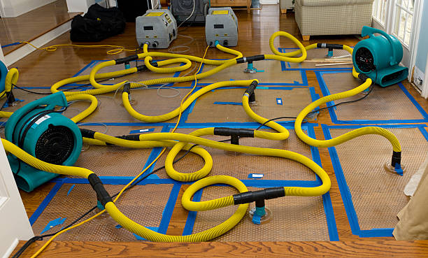 Professional Water Damage Repair technician working in Buena, WA